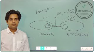 PROKARYOTIC CELLS SURFACE STRUCTURES FLAGELLAPILUS AND FIMBRIAE [upl. by Lauree]