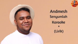 Andmesh  Senyumlah  Karaoke  Lirik [upl. by Akeimat]