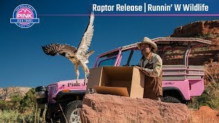 Sedona Raptor Release  Runnin W Wildlife Center  Pink Jeep Tours [upl. by Letsyrhc]