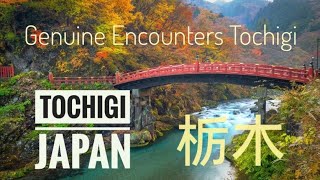 Tochigi Prefecture Japan A Journey Through Culture Nature and History [upl. by Sharlene942]