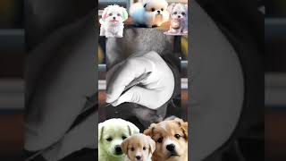 Tick Removal Compilation Tick Removal Tool Tick Infestation  Dog tick treatment ❤️ [upl. by Netram]