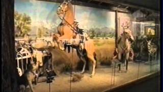 THE ROY ROGERS MUSEUM [upl. by Nylhsoj]