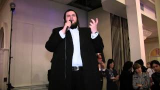 Shmueli Ungar Sings At Wedding [upl. by Panayiotis455]