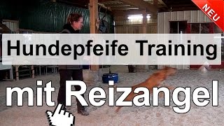 Hundetraining  Hundepfeife Training mit Reizangel [upl. by Dwayne]