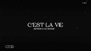 Azteck x Le Shuuk  Cest La Vie Visualizer [upl. by Goober]