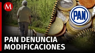 PAN denuncia modificaciones al dictamen de reforma de pensiones en Comisión de Seguridad Social [upl. by Evyn]