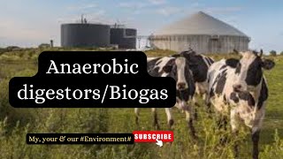 Anaerobic digestors for waste management 2024 08 09 biogásbioreactor bioremediation environment [upl. by Haerdna937]