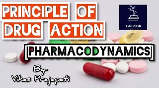 Principle of Drug Action  Pharmacodynamics [upl. by Nemrak]