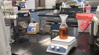 Agar Plate Pouring [upl. by Chitkara]