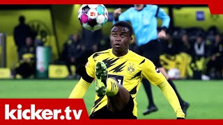 Startet Moukoko Hütter schwärmt von quotaußergewöhnlichem Jahrhunderttalentquot  kickertv [upl. by Maclaine690]