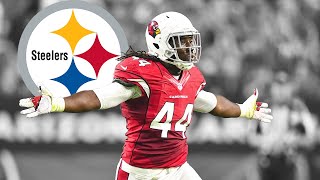 Markus Golden Highlights 🔥  Welcome to the Pittsburgh Steelers [upl. by Holly]