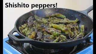 Shishito peppers recipe Blistered charred delicious [upl. by West310]