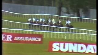 1986 Phoenix Irish Champion Stakes Park Express Full Race [upl. by Aneahs20]