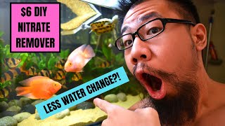 SIMPLE 6 DIY FILTER Less Water Changes Removes Nitrates [upl. by Oizirbaf]