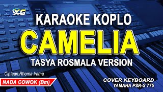 CAMELIA KARAOKE  VERSI TASYA ROSMALA NADA PRIA  COWOK CIPTRHOMA IRAMA [upl. by Malti]