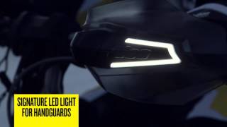 SkiDoo LED Lighting Accessories [upl. by Nurat]