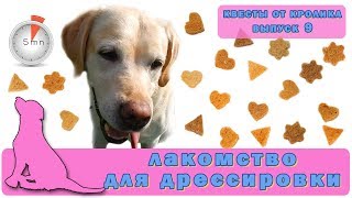 Лакомство для дрессировки за 5 минут – Квесты от кролика  for dogs [upl. by Jeane]