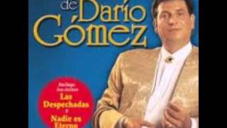 lo que hizo tu amor dario gomez [upl. by Barnaby]