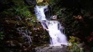 40 Waterfalls Relaxing Scenes with Cool Mountain Forest River HD waterfall in 1080p [upl. by Auerbach308]