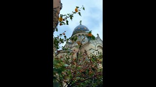 Discover the Majesty of La Basilique SaintMartin de Tours tours [upl. by Dusza]