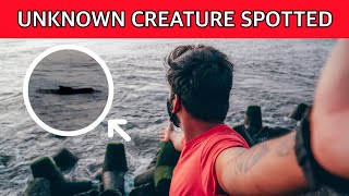 Unknown Creature at Cherai Beach  Beach Side Villa Stay വെറും 1000 INR [upl. by Gemini277]