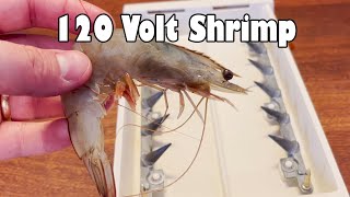 Cooking Shrimp With Retro 120 Volt Hot Dogger NSE [upl. by Jew]