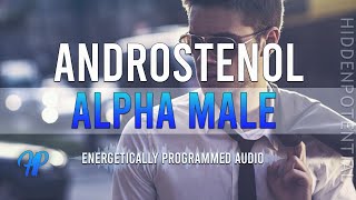 Ultimate ALPHA MALE Aura  Androstenol and Androsterone Energetically Programmed Audio [upl. by Magavern557]