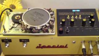 Analog Delay Binson Echorec 2  Special Made Effect [upl. by Beverle]