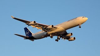 4K Star Alliance Oneworld and SkyTeam  Planespotting at OHare International Airport ORD [upl. by Rains]