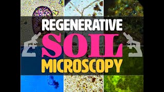 Regenerative Soil Microscopy  LIVE Demo with Matt Powers [upl. by Kaslik]