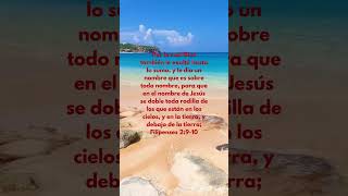 Nombre sobre todo nombre shorts Dios Jesus [upl. by Yevi]