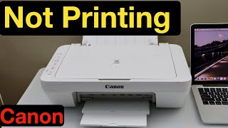 Canon Printer Not Printing [upl. by Kennie965]