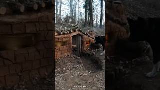 Building UNDERGROUND Bushcraft MUD SHELTER for 3 Days SURVIVAL Primitive Oven Quail Cooking [upl. by Renba458]