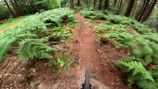 Spannered  Redlands  Surrey Hills Mtb [upl. by Kelbee]