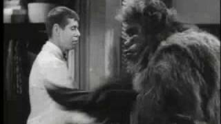 Bela Lugosi Meets a Brooklyn Gorilla trailer [upl. by Gothar292]