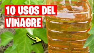 10 Usos INCREÍBLES del VINAGRE en el Huerto y Jardín  La Huerta de Ivan [upl. by Dwyer]