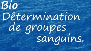 Détermination de groupes sanguins [upl. by Neelat]