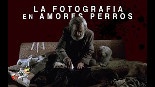 Amores perros parte 2 [upl. by Isabelle]