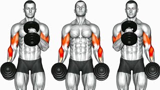 Biceps Workout 6 Best Exercises to build Strong Bicep [upl. by Atirehc]