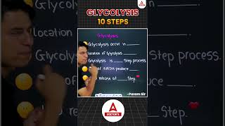 Glycolysis Explained  The Energy Powerhouse of Cells shorts glycolysis cellenergy glucose ATP [upl. by Ainniz]