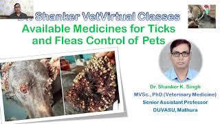 Ticks and Fleas Treatment of Dogs and Cats I Dr Shanker Singh [upl. by Anum]