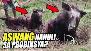 ASWANG Nahuli Sa Isang Probinsya  SIRENA Nahuli Ng Mga Mangingisdang Pinoy [upl. by Fahland]