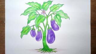 How to draw Eggplant Tree step by step very easy [upl. by Esetal973]