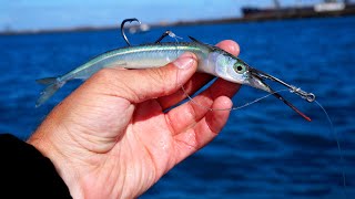 This LIVE BAIT didnt last long GARFISH as BAIT [upl. by Kali]