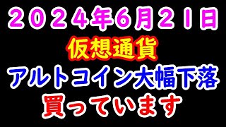 仮想通貨 アルトコイン下落 買っています ２０２４年６月２１日 [upl. by Boor266]