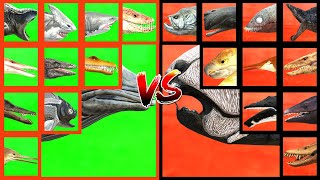 AQUATIC TOURNAMENT Mosasaurus VS Megalodon VS Arganodus VS Tylosaurus VS Acrophyseter in ARBS [upl. by Odericus115]