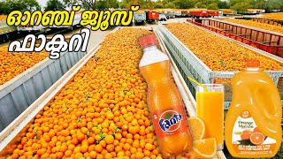 Orange Juice Factory  ഫാക്ടറികളിൽ ഓറഞ്ച് ജ്യൂസ് നിർമിക്കുന്നത് കണ്ടാലോ  Infact Malayalam [upl. by Arahahs]