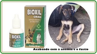 ACABANDO A ANEMIA COM BIOXIL e SULFATO FERROSO [upl. by Yanat]