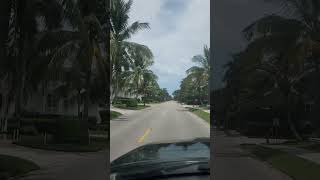 4k Evening Ocean Drive Florida music edm short new palm green decoconcretesc beachsession [upl. by Belinda869]