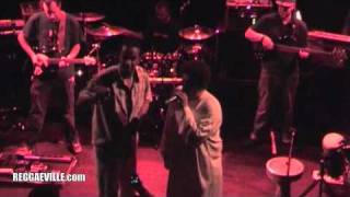 Part 3 Dub Inc  Murderer Live in Munich Germany  Ampere 11182010 [upl. by Zoila58]